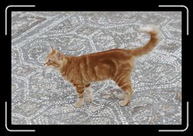 08-23-10 144 * 1728 x 1152 * (561KB)